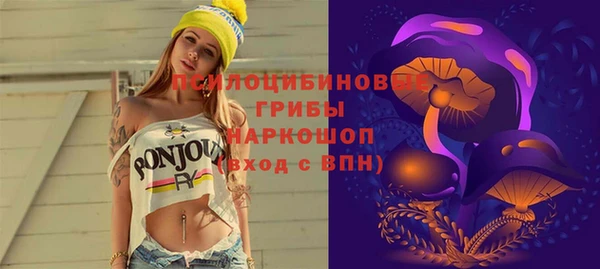 прущая мука Новодвинск