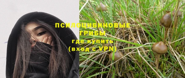таблы Новокубанск