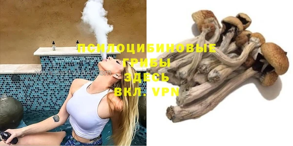 не бодяженный Новозыбков
