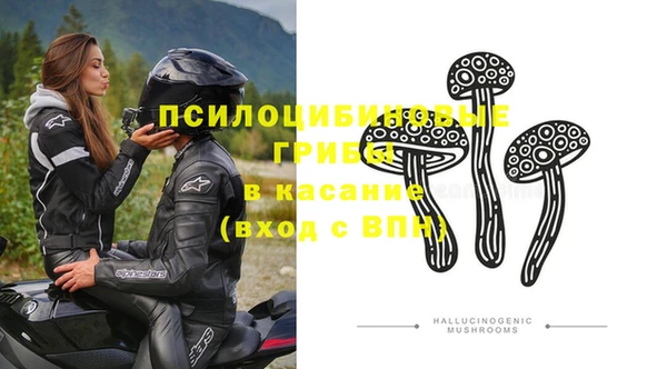 прущая мука Новодвинск