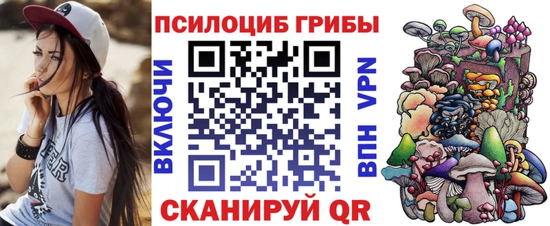 Псилоцибиновые грибы мицелий Правдинск